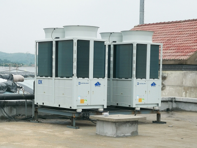 辽西花鸟鱼市场